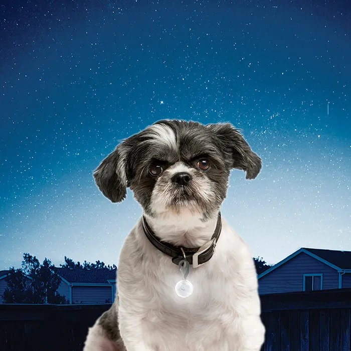 Nite Ize PetLit LED Collar Light