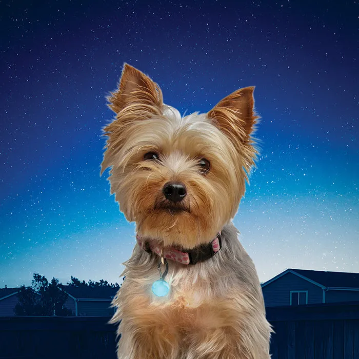 Nite Ize PetLit LED Collar Light