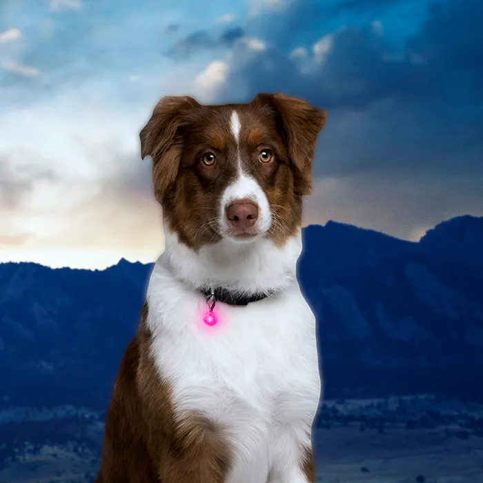 Nite Ize PetLit LED Collar Light