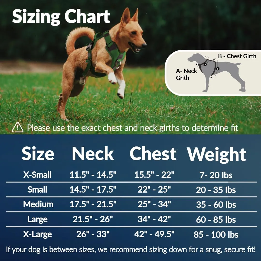 No Pull Dog Harness - Durable Polyester Puppy Harness with Front Anti-Pull Loop, Reflective Strips, and Quick-Release Clips for Small, Medium, and Large Dogs (Forest Green, Medium)
