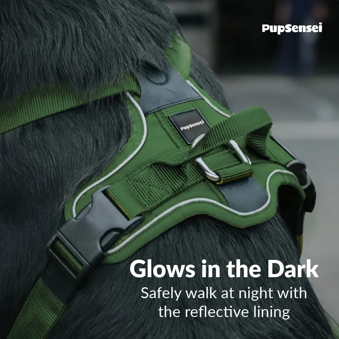 No Pull Dog Harness - Durable Polyester Puppy Harness with Front Anti-Pull Loop, Reflective Strips, and Quick-Release Clips for Small, Medium, and Large Dogs (Forest Green, Medium)