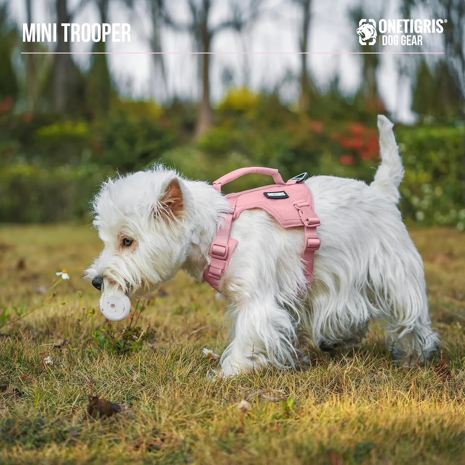 Onetigris Small Harness Dog Harness and Leash Set,Mini Trooper No Pull Dog Vest Fully Adjustable Harness for Puppy Dog and Cats, Dog Vest Harness for XXXS XXS XS Pets (Pink, XXXS)