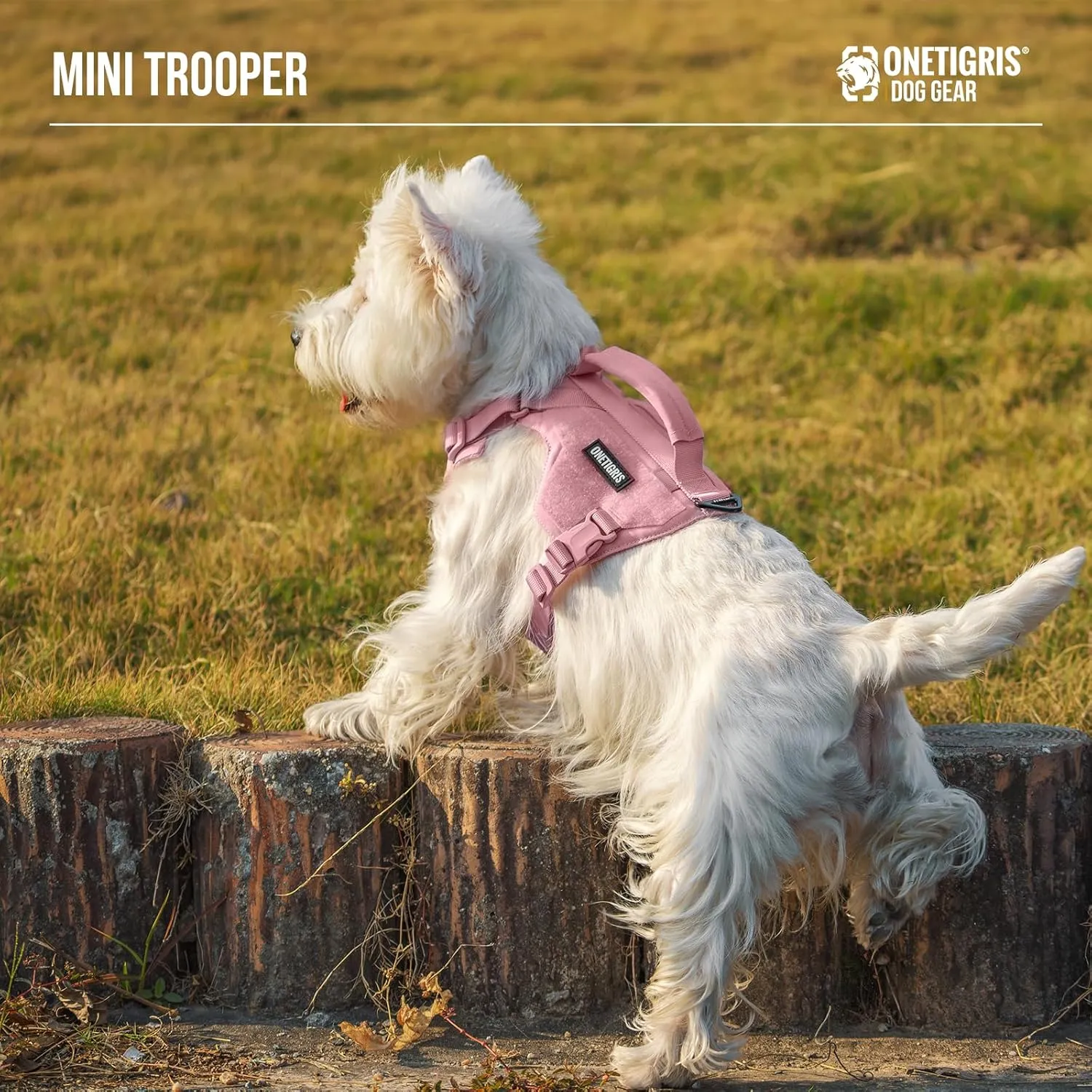 Onetigris Small Harness Dog Harness and Leash Set,Mini Trooper No Pull Dog Vest Fully Adjustable Harness for Puppy Dog and Cats, Dog Vest Harness for XXXS XXS XS Pets (Pink, XXXS)