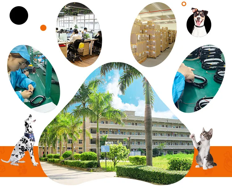 PAWS ASIA China Wholesale Modern Eco Friendly Multifuncional Ceramic Cat Bowls