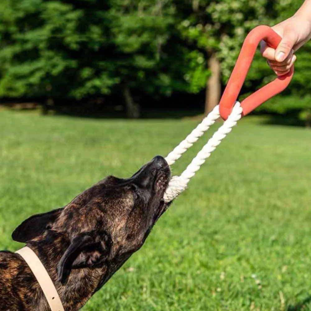 PAWS ASIA Manufacturers Customized Eco TPR Interactive Chew Resistant Heavy Duty Dog Pull Toy