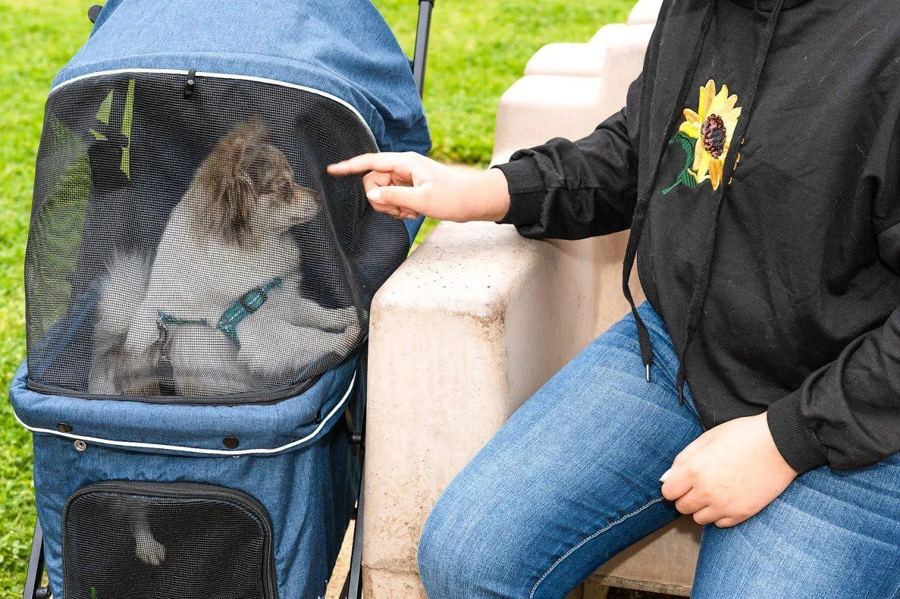 Pet and Pets Malibu Pet Stroller