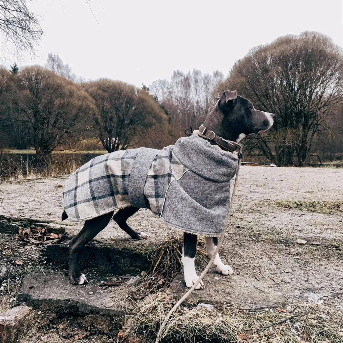 Pet Clothes - Autumn & Winter Plaid Cotton Jacket  Warm Dog Coat
