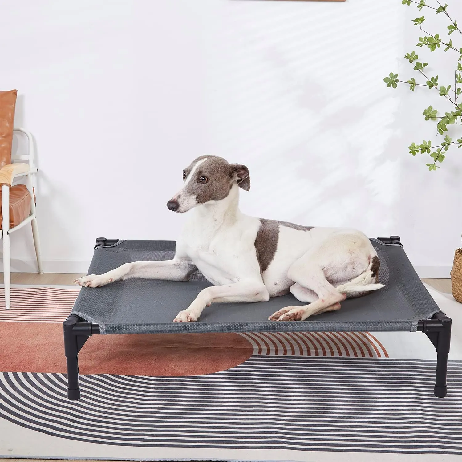 pettycare Elevated Outdoor Dog Bed - Dog Cots for Small Pet, Heavy Duty Raised Cot Waterproof, Cooling Pets Bed with Washable Durable Teslin Mesh and Non Slip Feet, 28 Inches, Grey