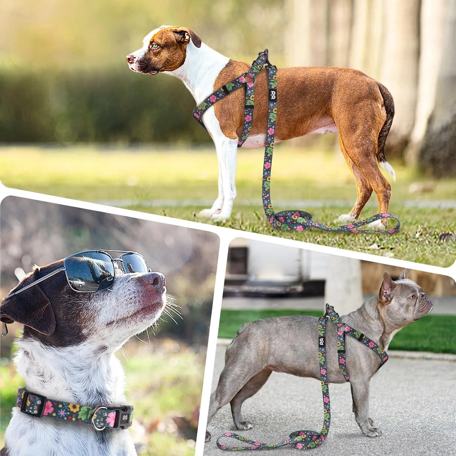 QQPETS Dog Harness Collar Leash - No Pull Pet Adjustable Back Clip Halter Basic Collar Heavy Duty 5FT Anti-Twist Leash for Extra Small Puppy Medium Large Breed Training (XS,Leaves)