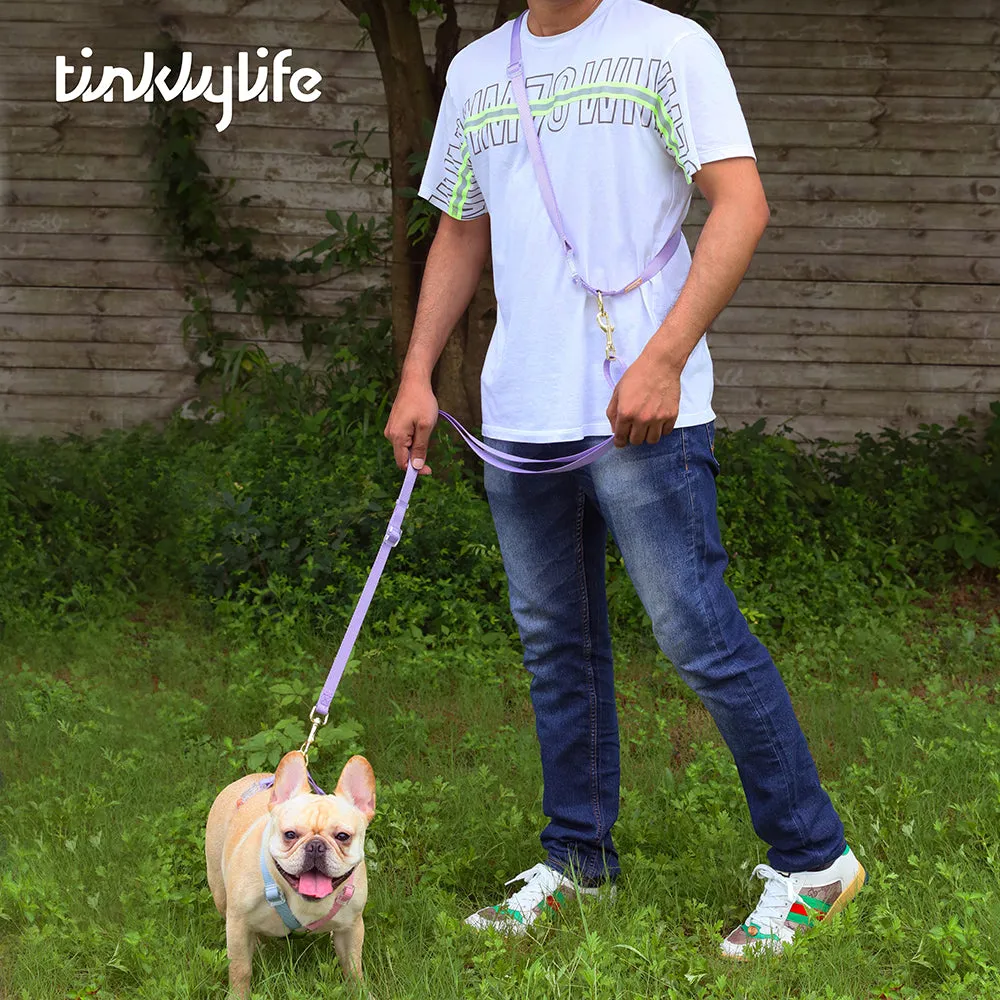 Rainbow Woven Double Ended Dog Leash