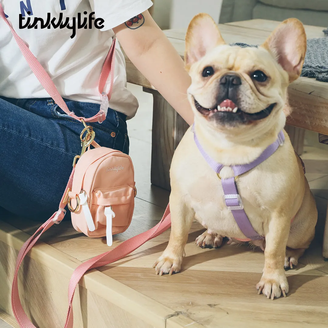 Rainbow Woven Double Ended Dog Leash