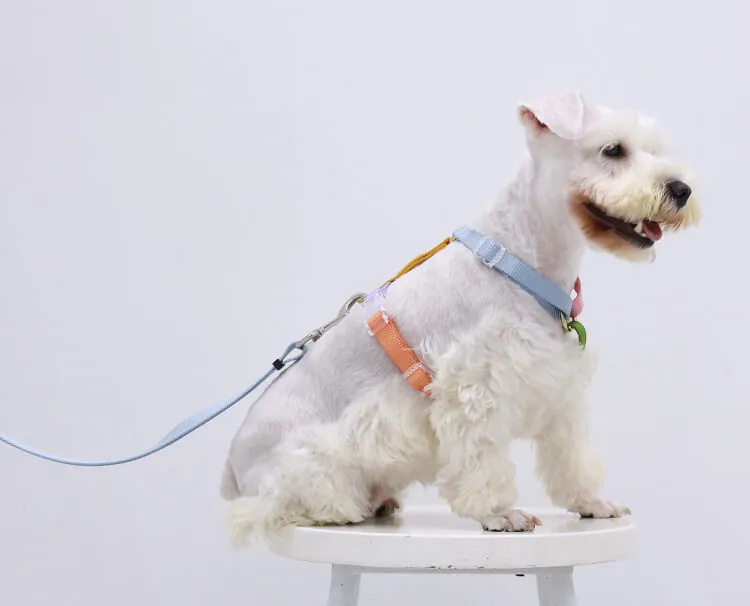 Rainbow Woven Double Ended Dog Leash