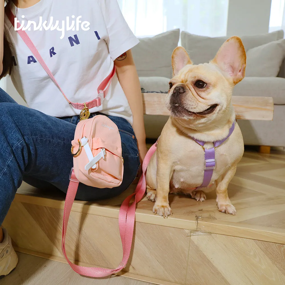 Rainbow Woven Double Ended Dog Leash