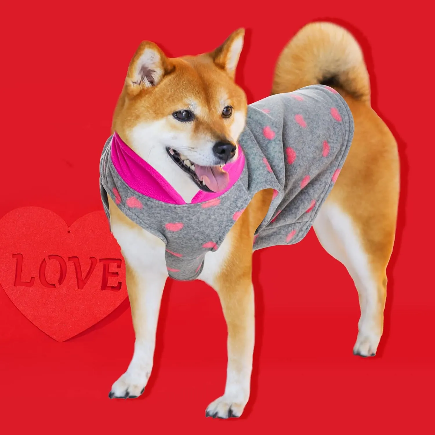 Rbenxia Grey Dog Heart Sweater with Leash Ring - Soft Fleece Vest Pullover Jacket for Small Puppy & Cat Pets (X-Small)