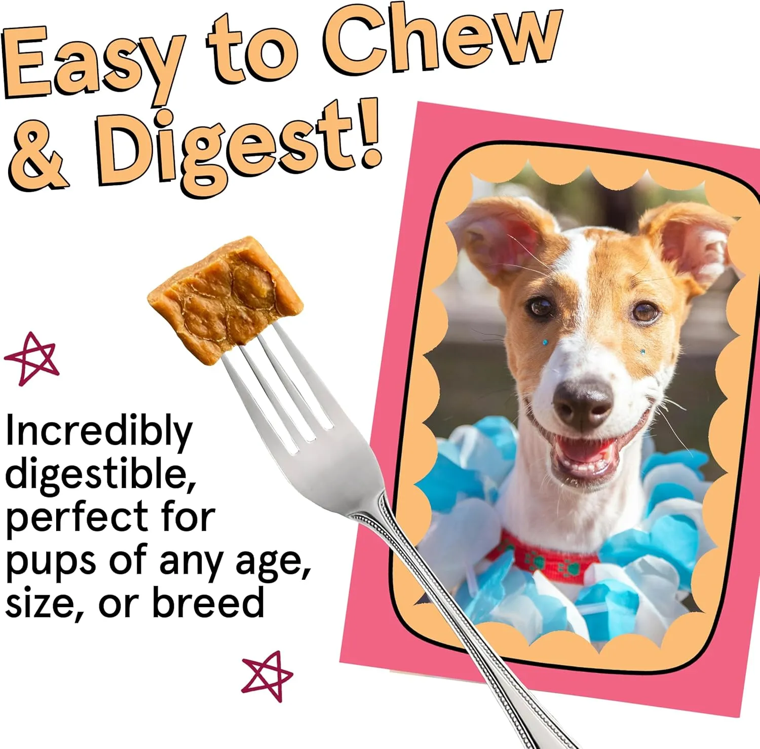 Real Meat Boosters Air Dried Dog Food w/Real Chicken & Wild-Caught Salmon for Enhanced Skin & Coat Support - 2lbs of Grain-Free, High Protein, Real Meat Dog Food Enriched w/Organic Coconut Oil