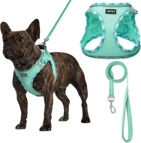 Small Dog Harness with Leash Set, No Escape Easy Walk Puppy Harnesses for Training Walking, Step-In Reflective Soft Dogs Vest for XS S Medium Extra-Small Large Sized Dog(Green,S)