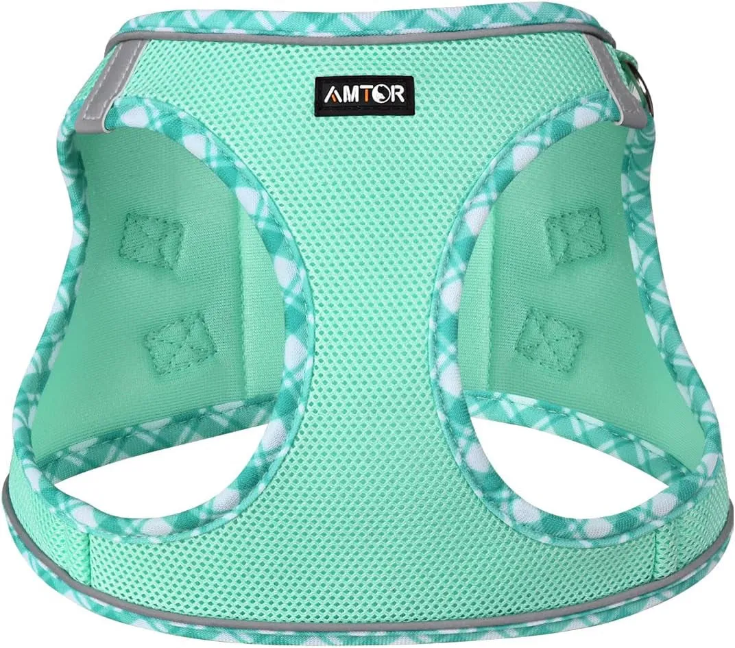 Small Dog Harness with Leash Set, No Escape Easy Walk Puppy Harnesses for Training Walking, Step-In Reflective Soft Dogs Vest for XS S Medium Extra-Small Large Sized Dog(Green,S)