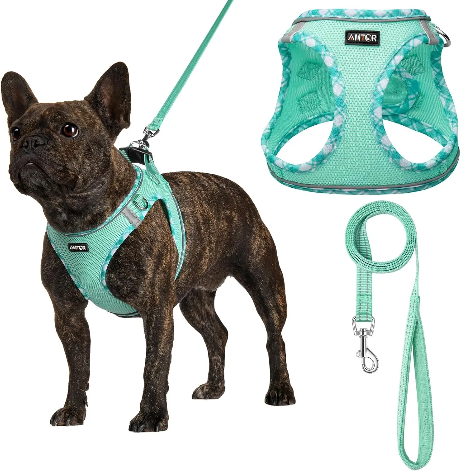 Small Dog Harness with Leash Set, No Escape Easy Walk Puppy Harnesses for Training Walking, Step-In Reflective Soft Dogs Vest for XS S Medium Extra-Small Large Sized Dog(Green,S)