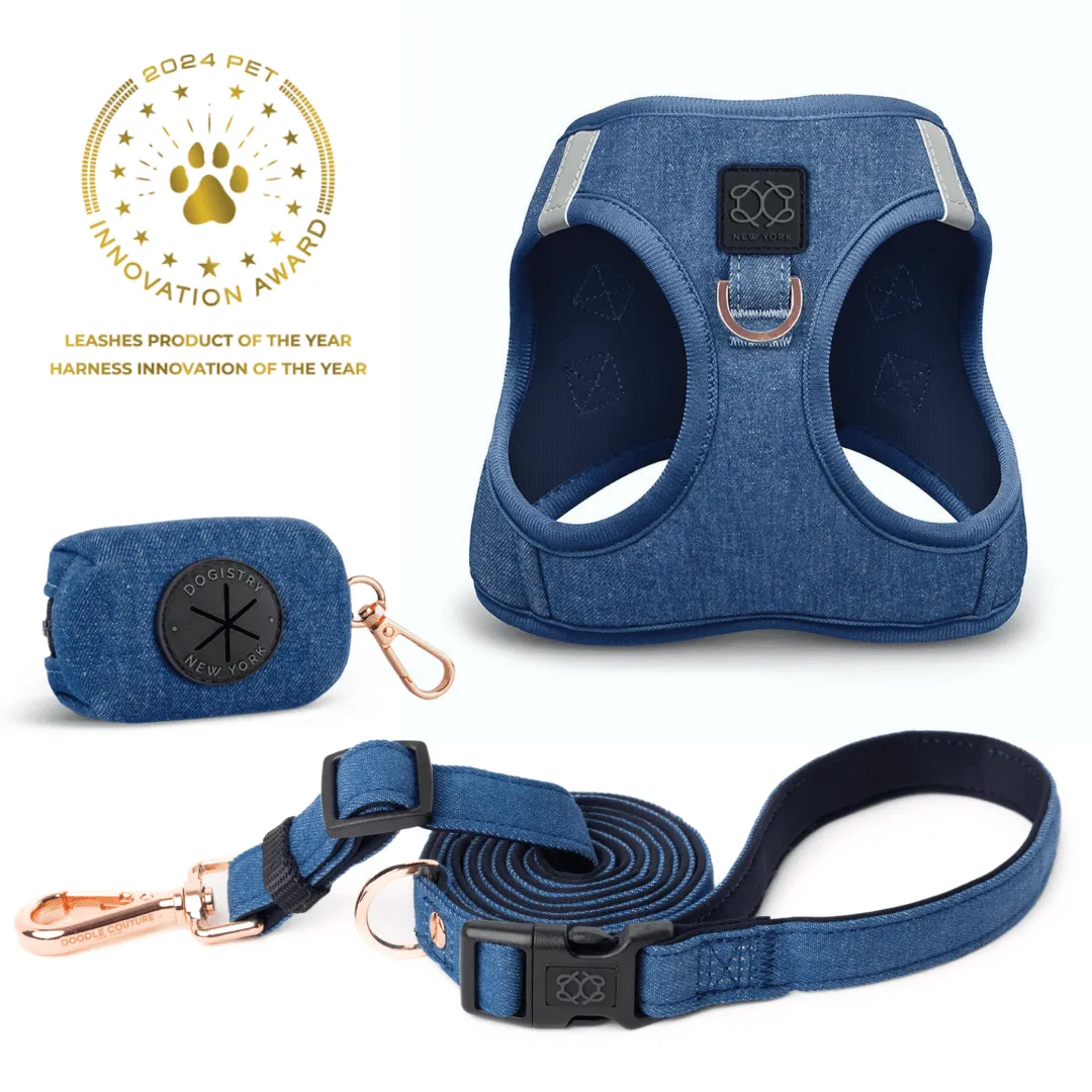 SoHo Dog Walking Set - Denim