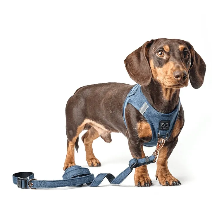 SoHo Dog Walking Set - Denim