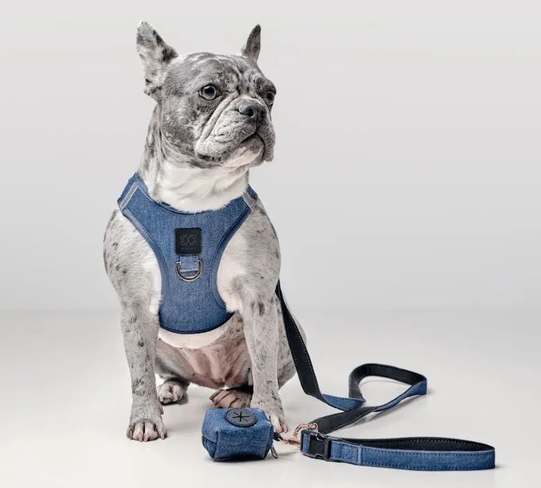 SoHo Dog Walking Set - Denim