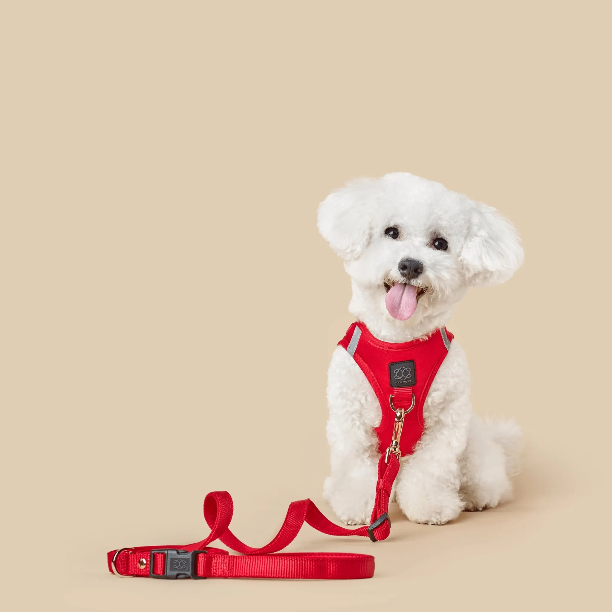 SoHo Dog Walking Set - Iconic Red
