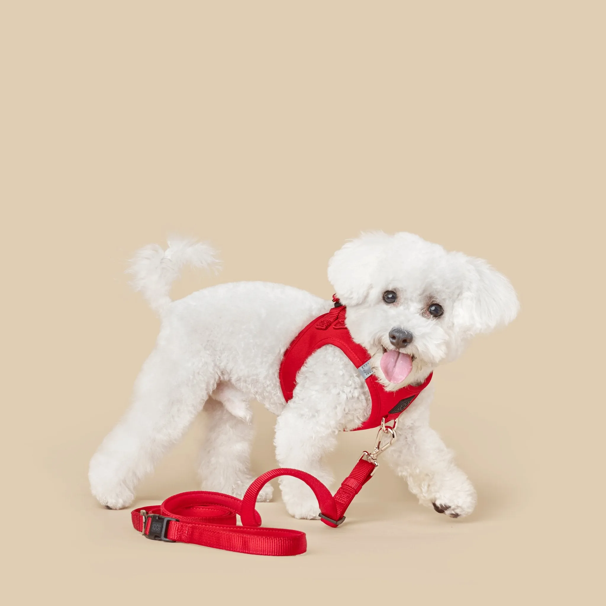 SoHo Dog Walking Set - Iconic Red
