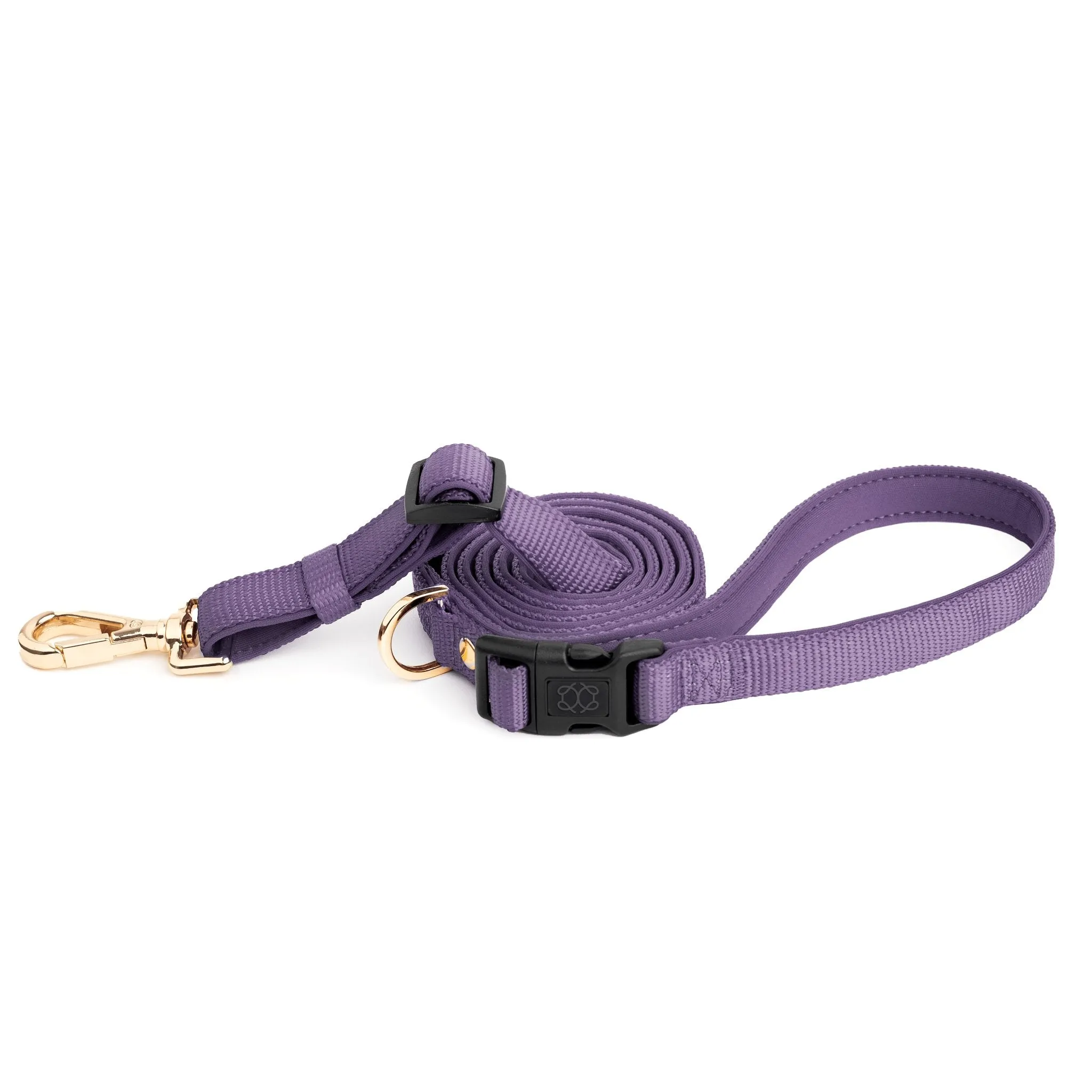 SoHo Dog Walking Set - Lilac Gray
