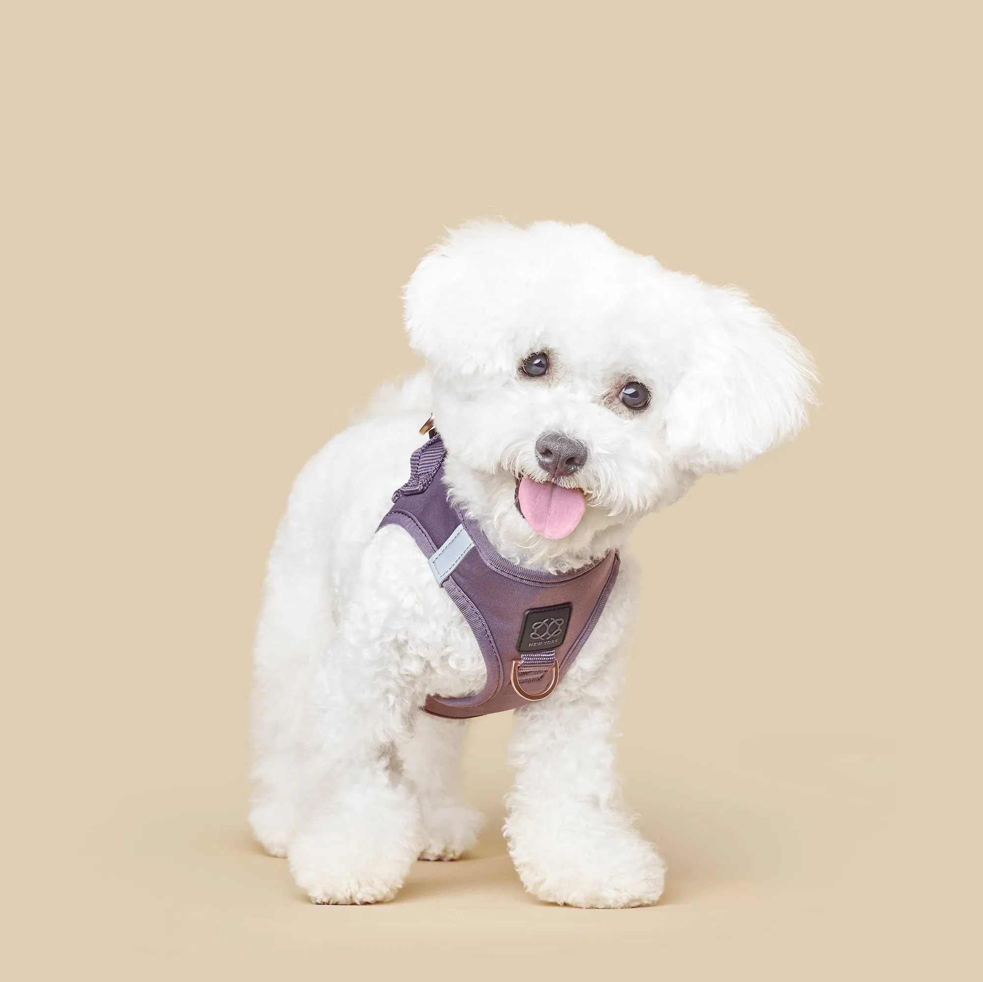 SoHo Dog Walking Set - Lilac Gray