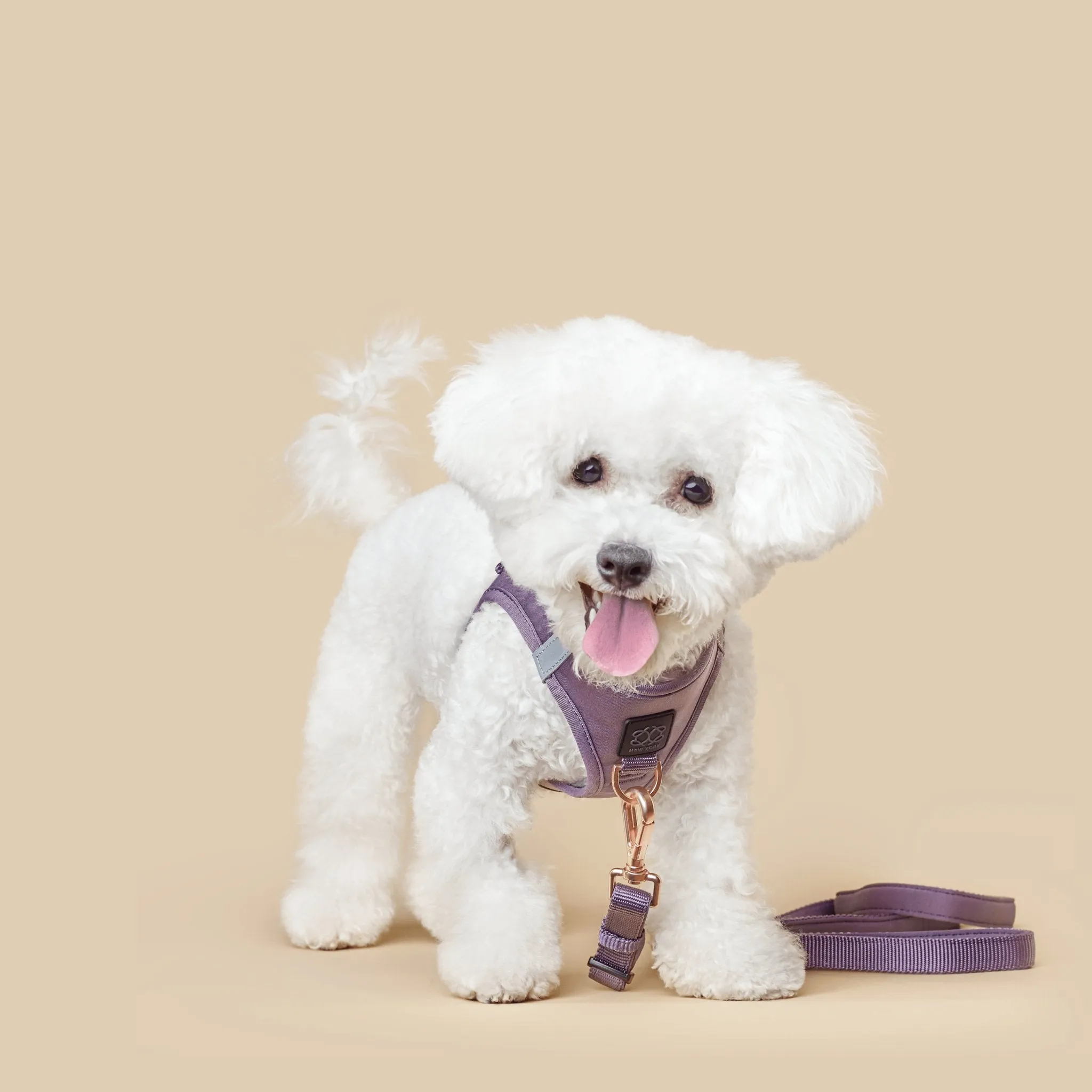 SoHo Dog Walking Set - Lilac Gray