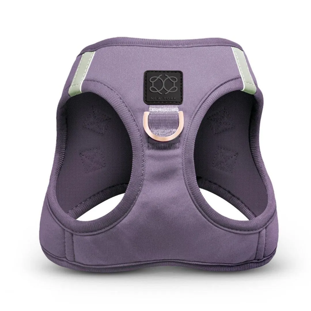 SoHo Dog Walking Set - Lilac Gray