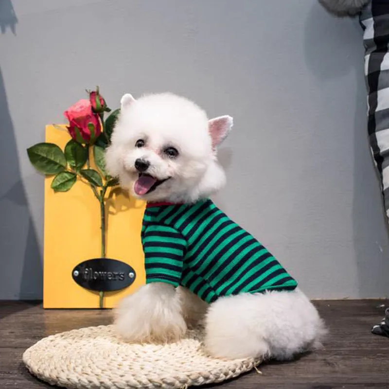 Striped Bear Pet Bottoming Shirt