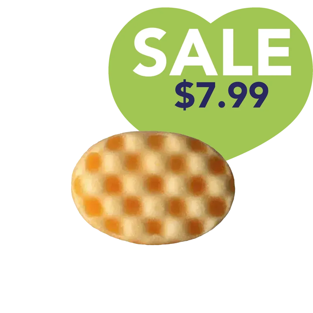 Sweet Orange Essential Oil Wash Sponge by Dog Fashion Spa