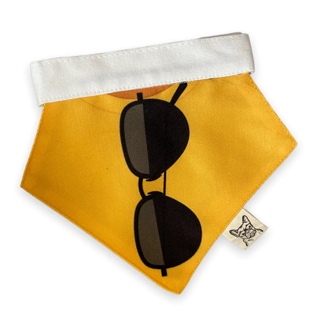 Talking Dog Club Beach Buns Bandana for Dogs and Cats (Yellow)