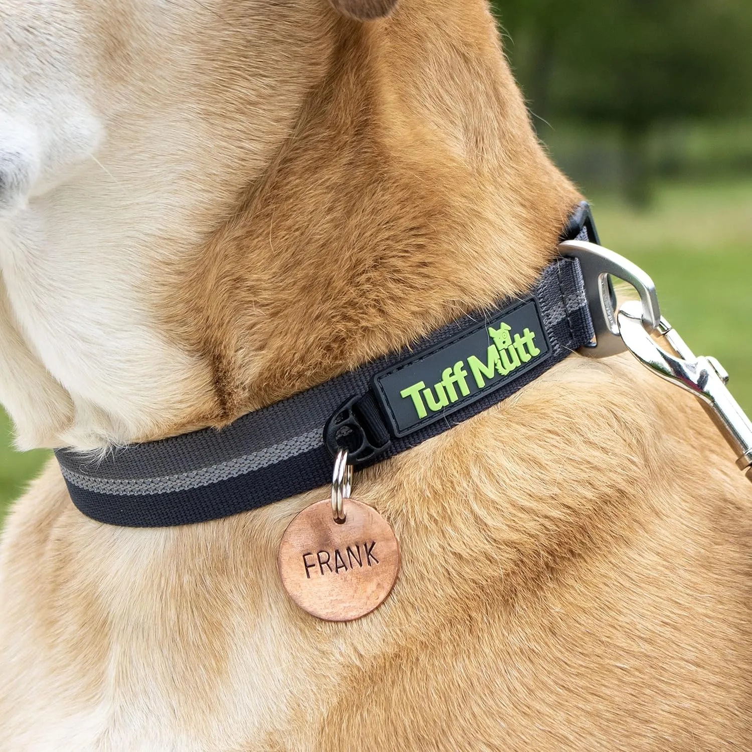Tuff Mutt Dog Collars for Medium and Large Dogs, Reflective for High Visibility, Quick Release Buckle, Durable 1 Inch Wide Polyester, Fits 14-20 Inch Neck (Medium, Gray)