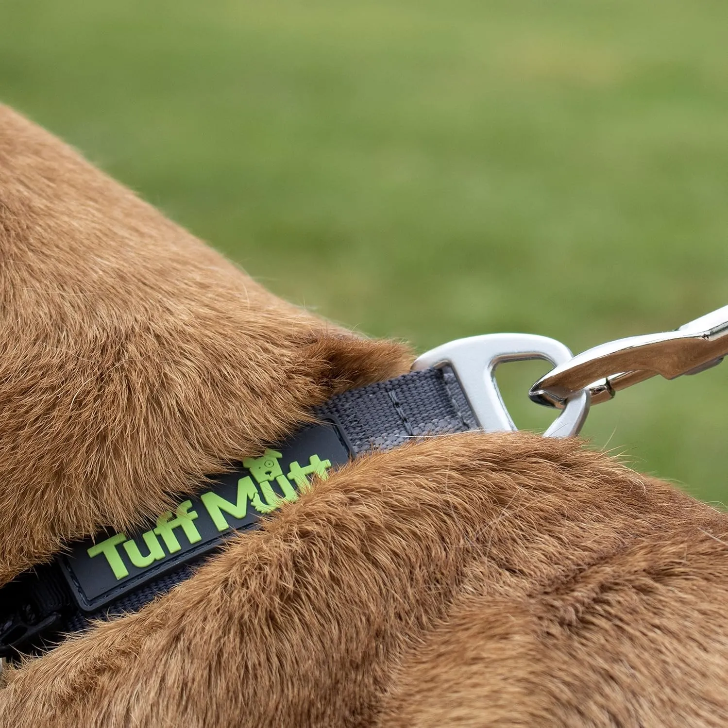 Tuff Mutt Dog Collars for Medium and Large Dogs, Reflective for High Visibility, Quick Release Buckle, Durable 1 Inch Wide Polyester, Fits 14-20 Inch Neck (Medium, Gray)