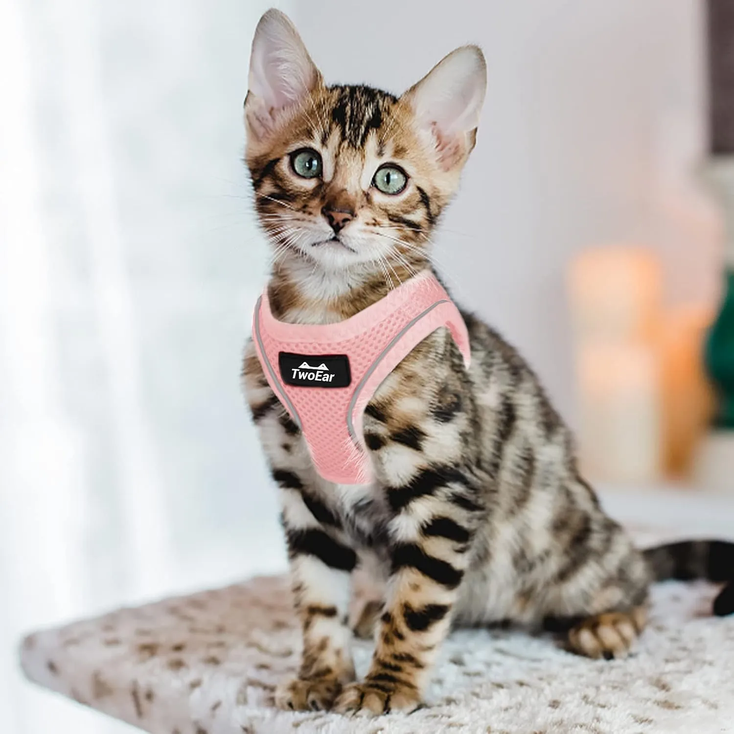 TwoEar Cat Harness Escape Proof, Soft Dog Vest Harness Adjustable, Breathable Mesh Step-in Puppy Walking Jacket Reflective Easy Control for Extral Small Pets for Outdoor Walking (XXXS, Pink)