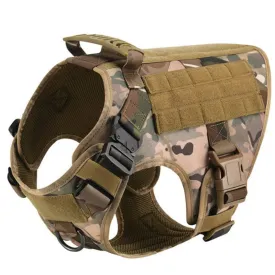 Vibrant Design Dog Harness With D Rings