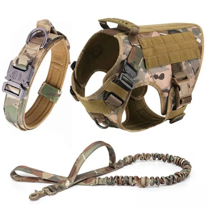 Vibrant Design Dog Harness With D Rings