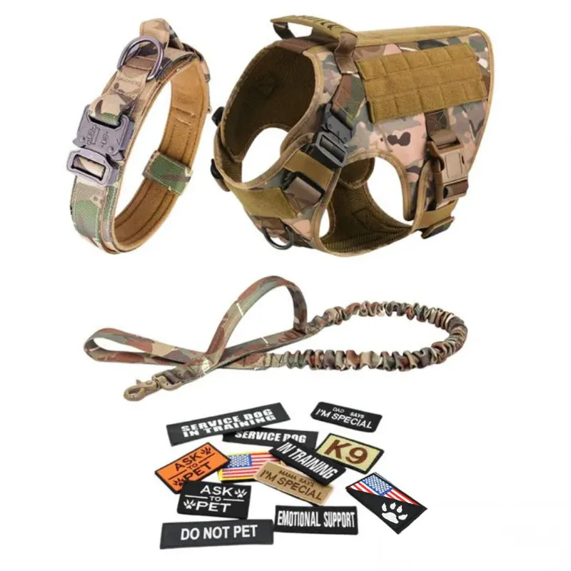 Vibrant Design Dog Harness With D Rings