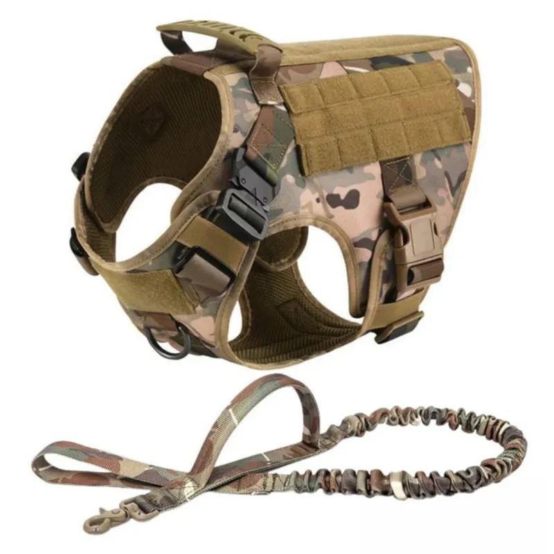 Vibrant Design Dog Harness With D Rings