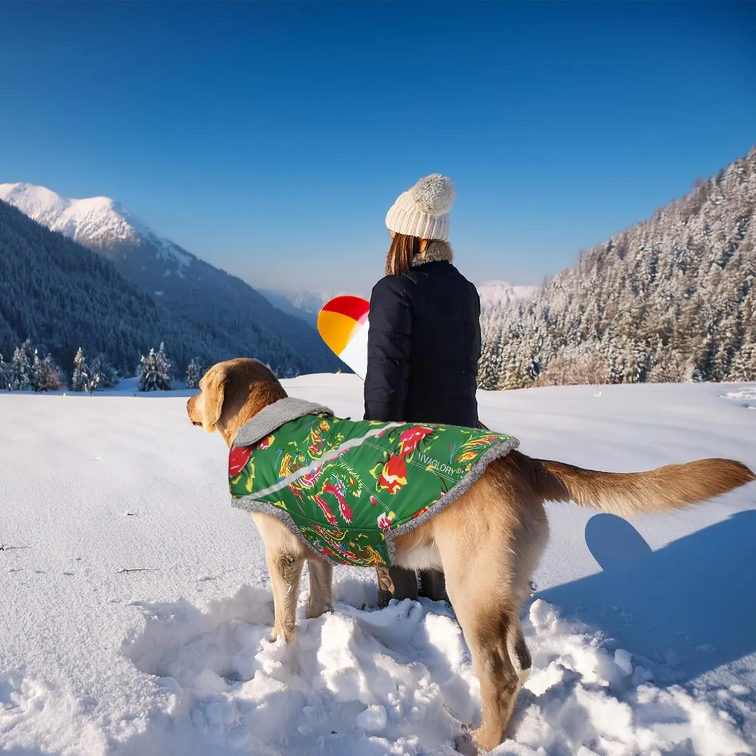 VIVAGLORY Warm Dog Fleece Vest Jacket with Two-Way Zipper Opening, Pet Jacket with Fleece Lining for Small Pets, Northeast Florals-Green, XXS