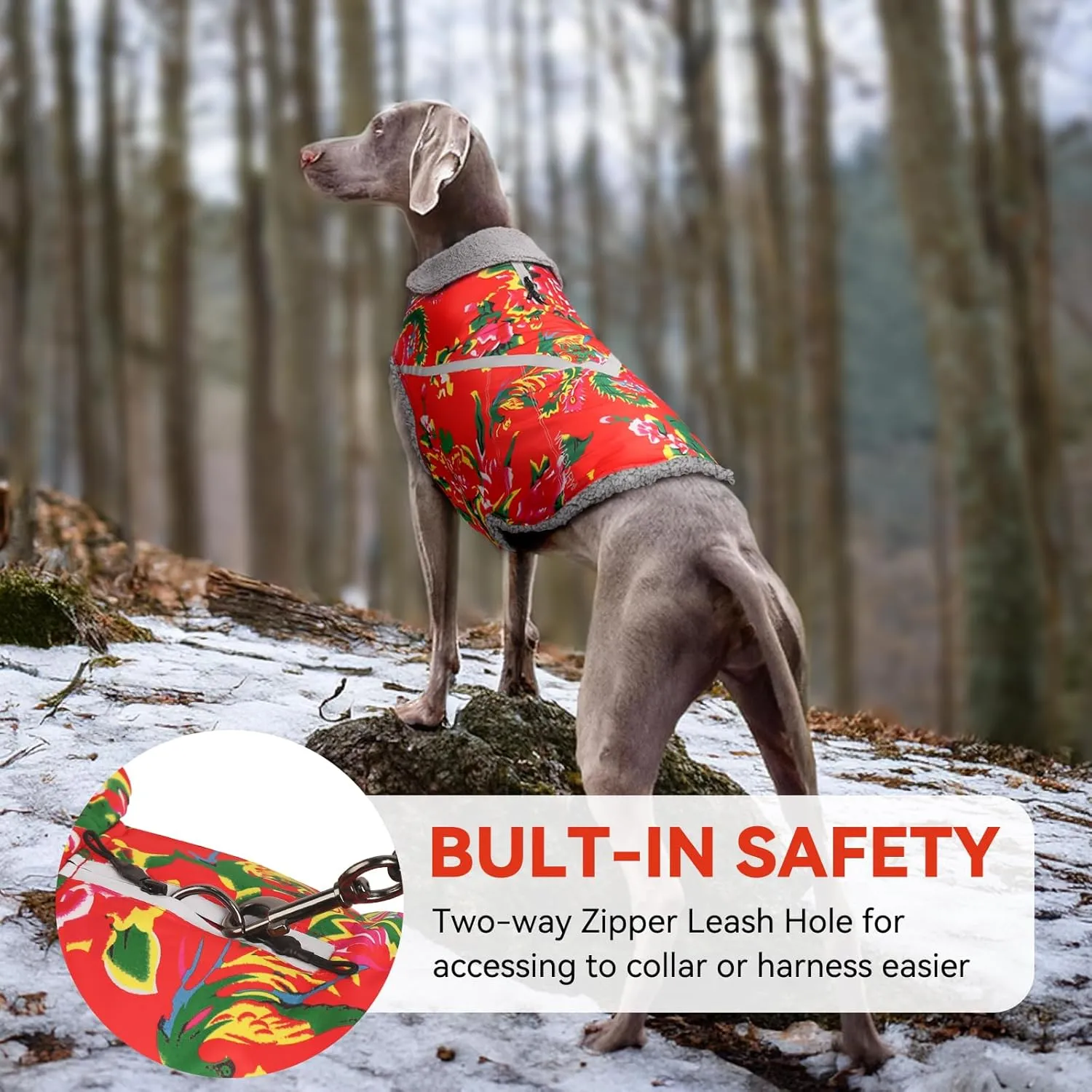 VIVAGLORY Warm Dog Fleece Vest Jacket with Two-Way Zipper Opening, Pet Jacket with Fleece Lining for Small Pets, Northeast Florals-Red, XXS