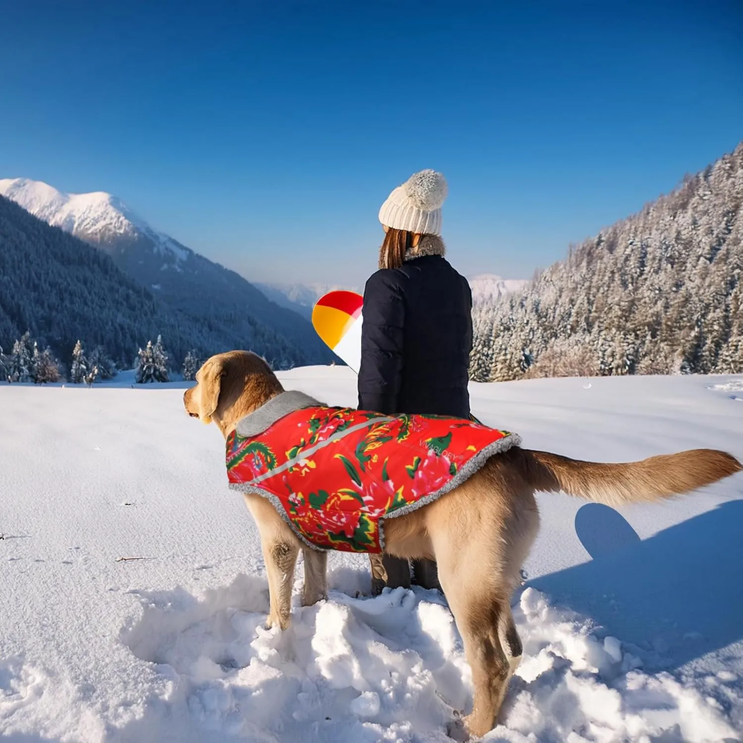 VIVAGLORY Warm Dog Fleece Vest Jacket with Two-Way Zipper Opening, Pet Jacket with Fleece Lining for Small Pets, Northeast Florals-Red, XXS