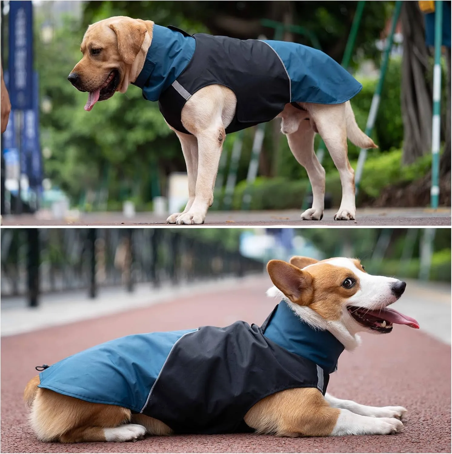 Windproof Dog Winter Jackets - Outdoor Coats with Waterproof Protection, Cold Weather Coats for Dogs, Blue Black XXXL