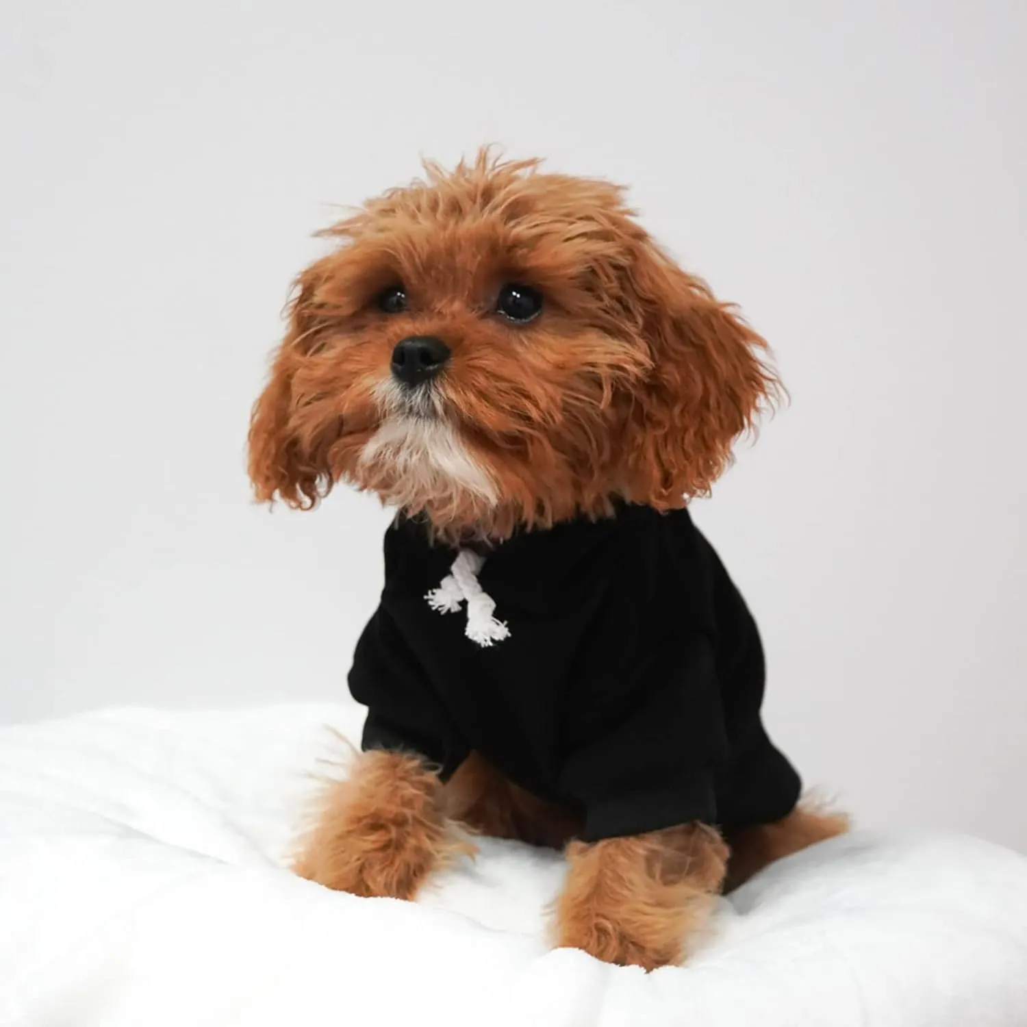 Zombie Hunter Costume Halloween Dog Hoodie Fleece Lined Pullover Sweatshirt with Leash Hole (Black, Medium 866)